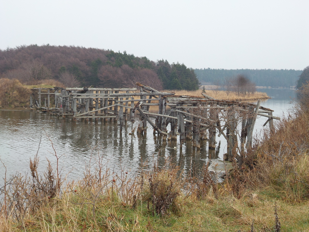 Красногорск, старый мост на озере Айнское